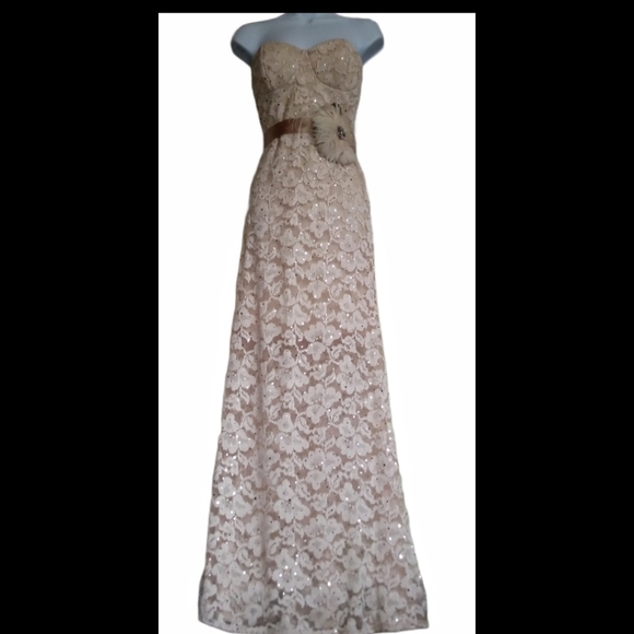 Vintage rose gold lace dress - Picture 4 of 9